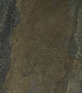 WSC 7079 BM