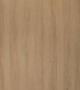 WSC 2397 ASR (RUTENG)