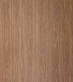 WSC 2413 ASV (ANDES)